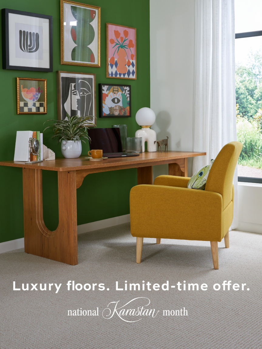 Modern living room featuring Karastan carpet